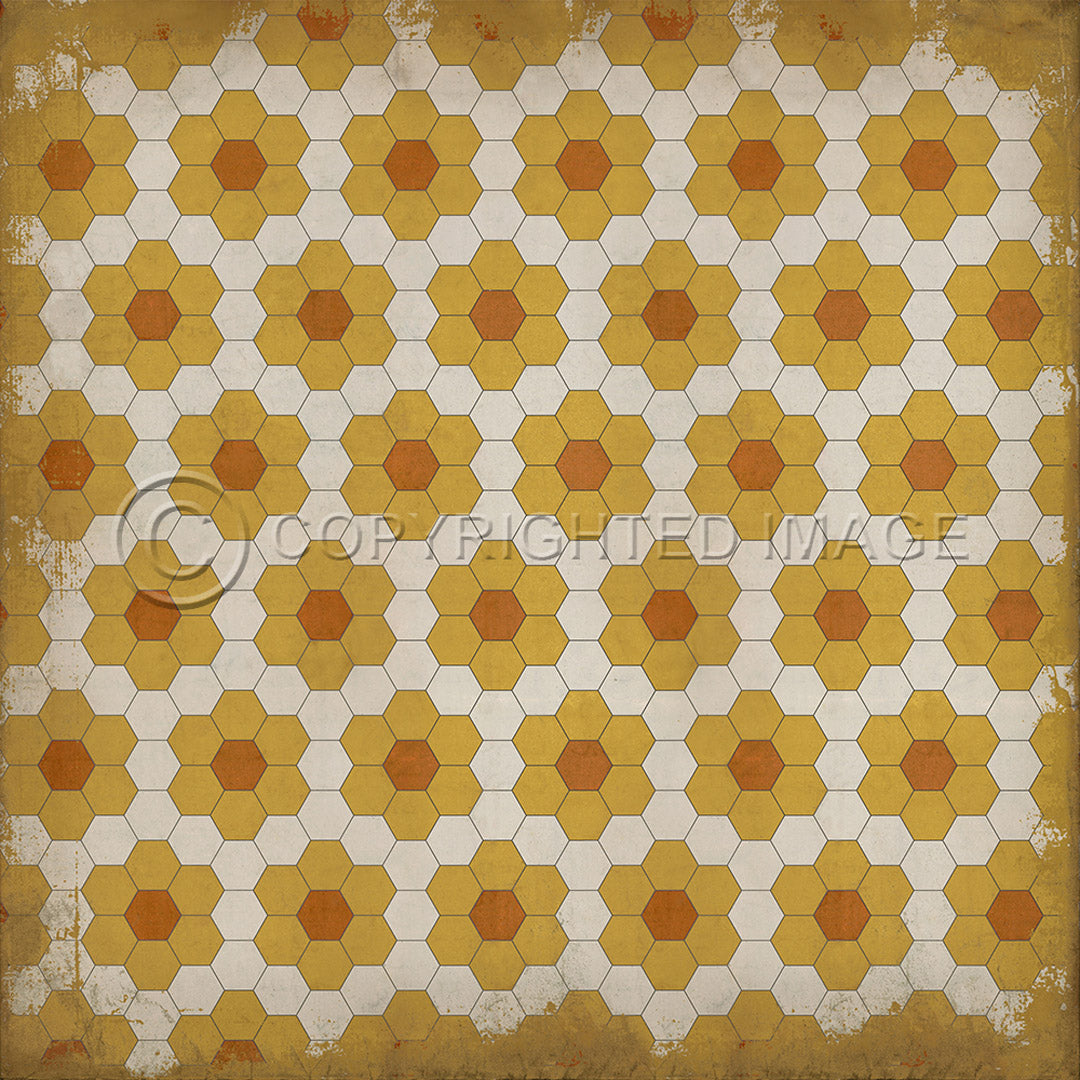 Pattern 02 Pushing up Daisies 48x48