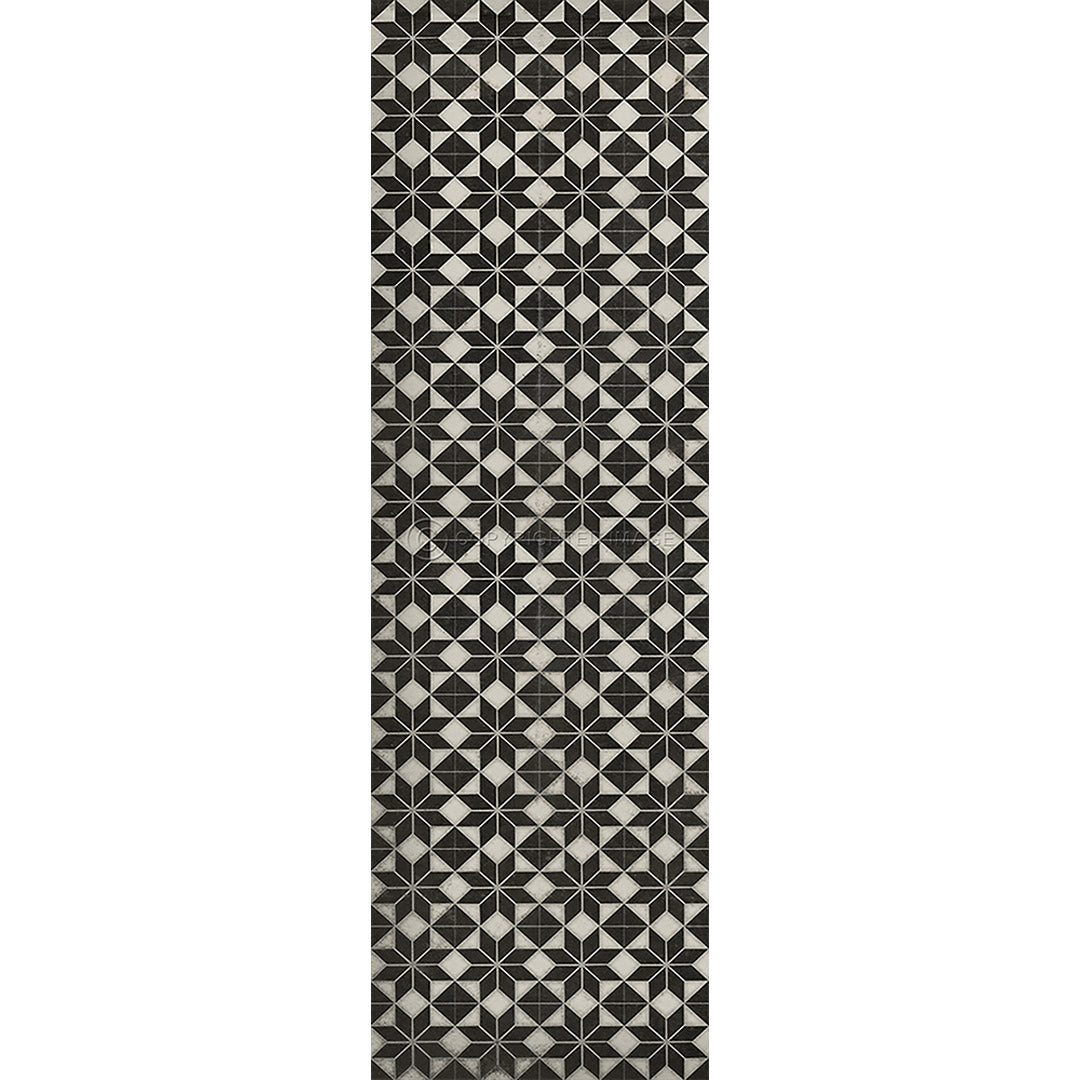 Pattern 20 Stargazer no border 36x115