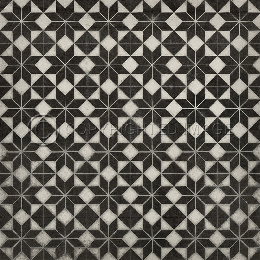 Pattern 20 Stargazer no border 48x48