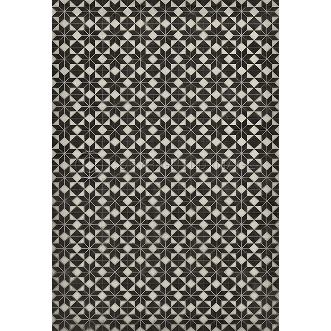 Pattern 20 Stargazer no border 96x140