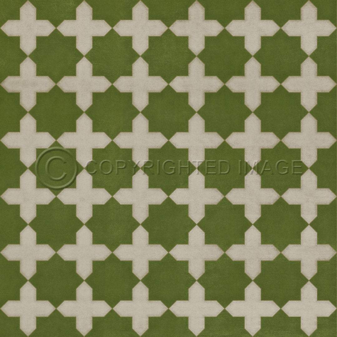 Pattern 23 Nor Any Green Thing 60x60