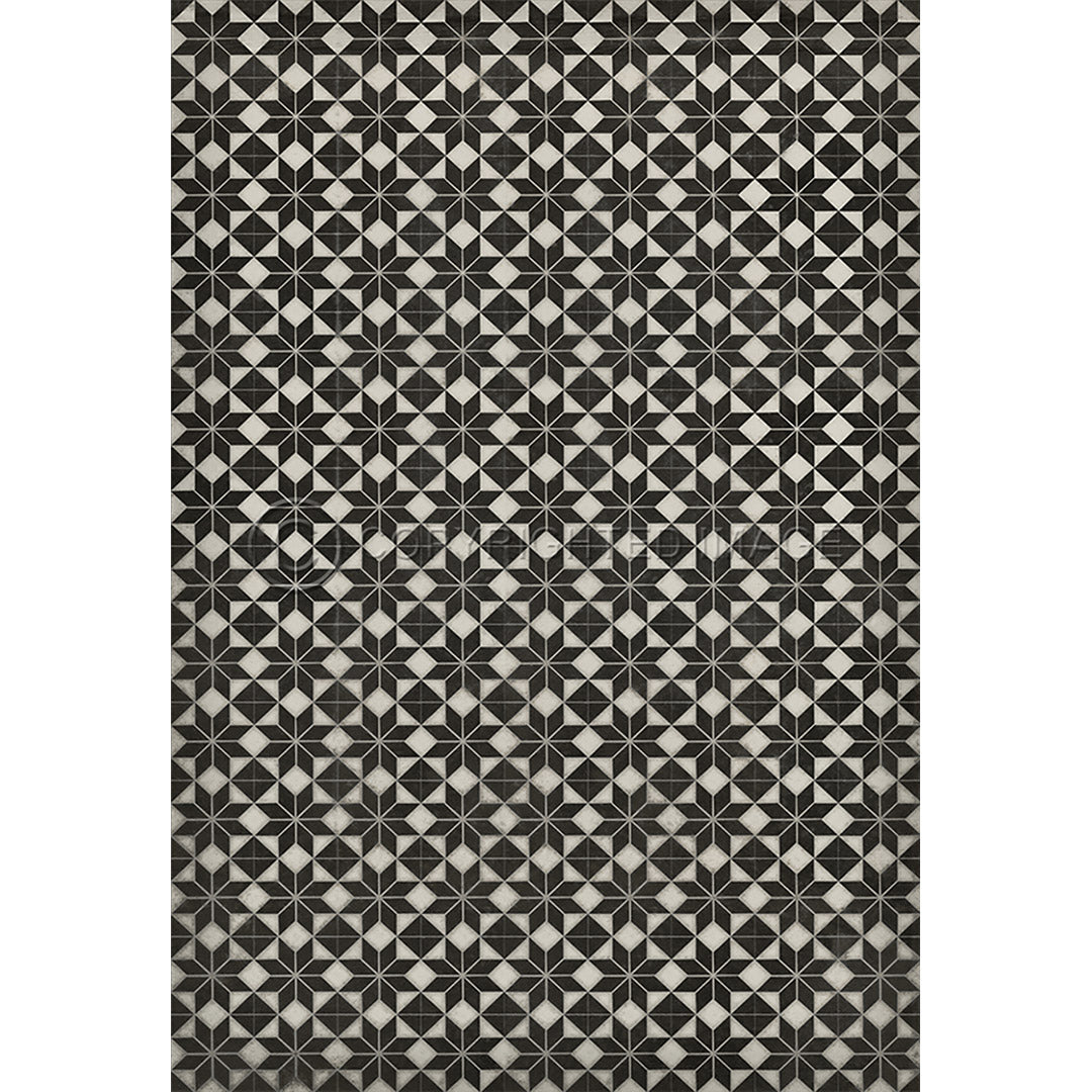 Pattern 20 Stargazer no border 120x175