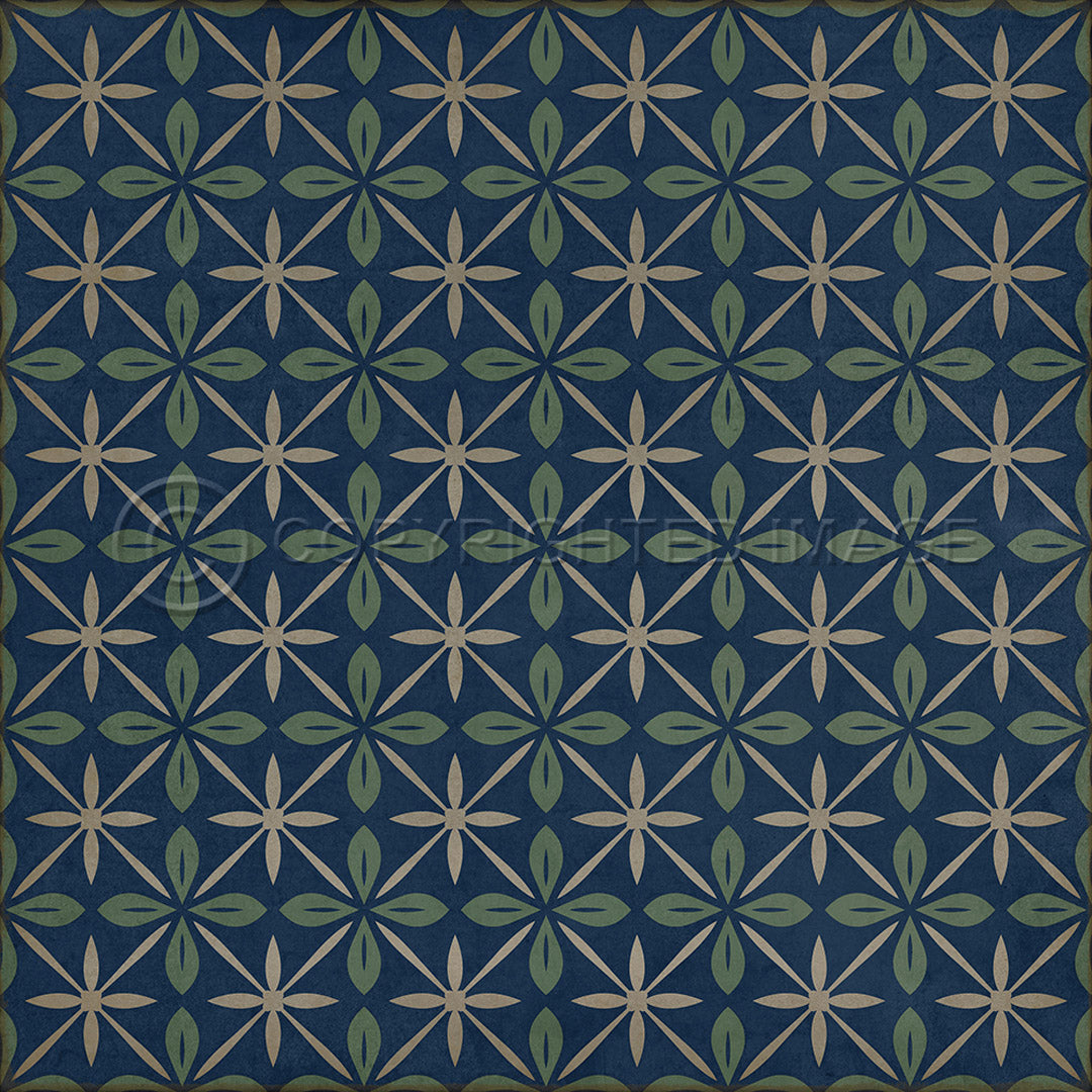 Pattern 81 Blue Moon Drive In 48x48