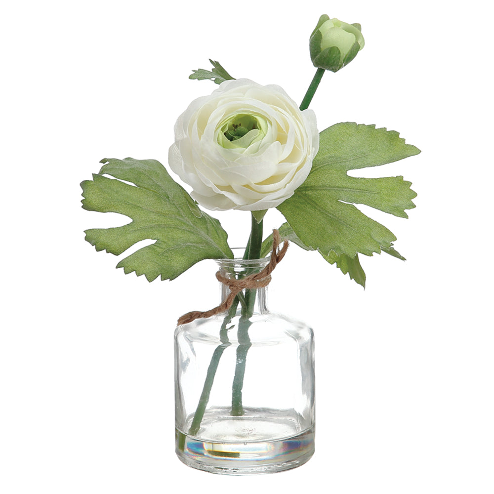 Ranunculus in Glass Bottle