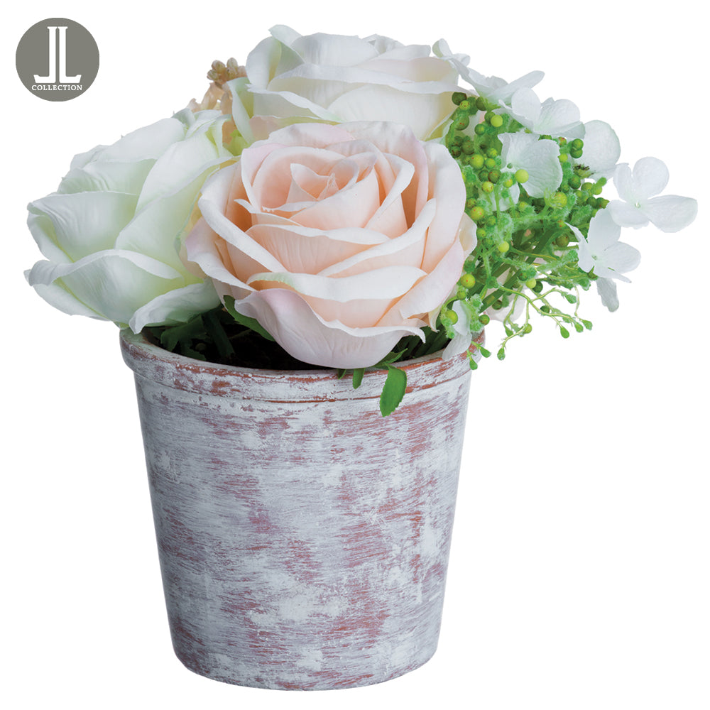 Rose Ranunculus Arrangement