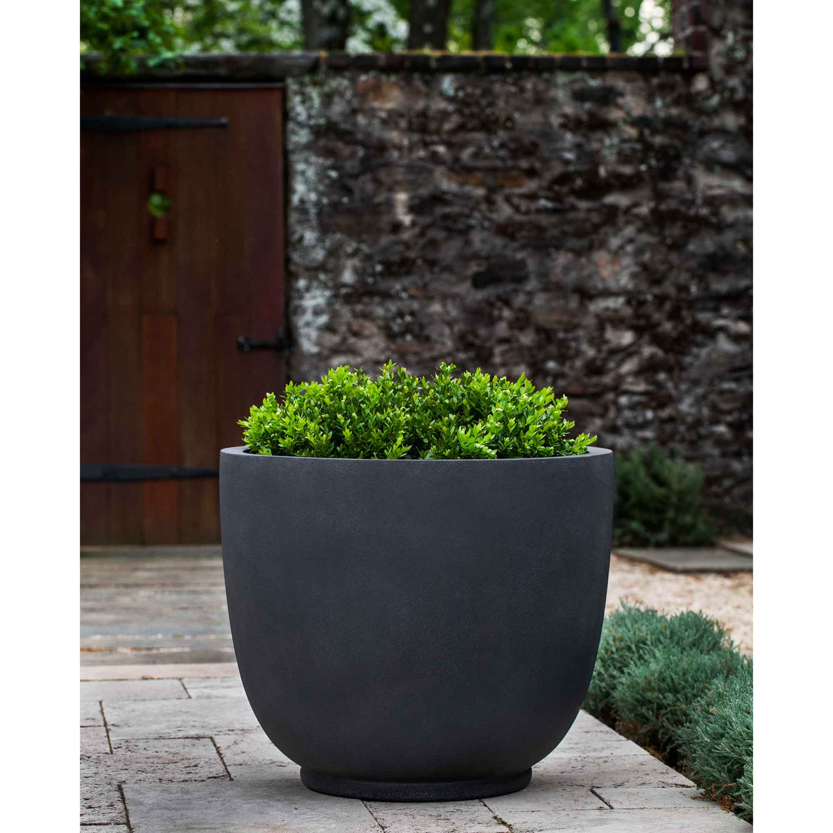 Danilo Planter