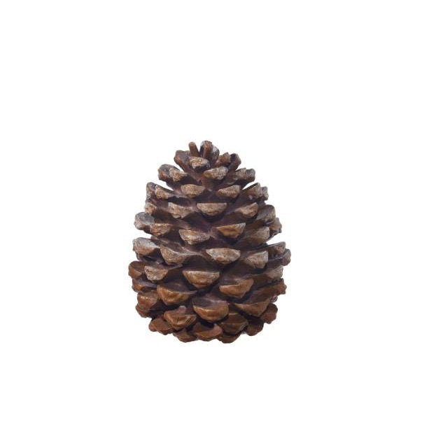 9" Pinecone
