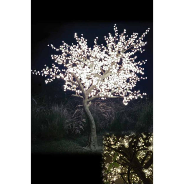 Lit Blossom Tree - 9ft