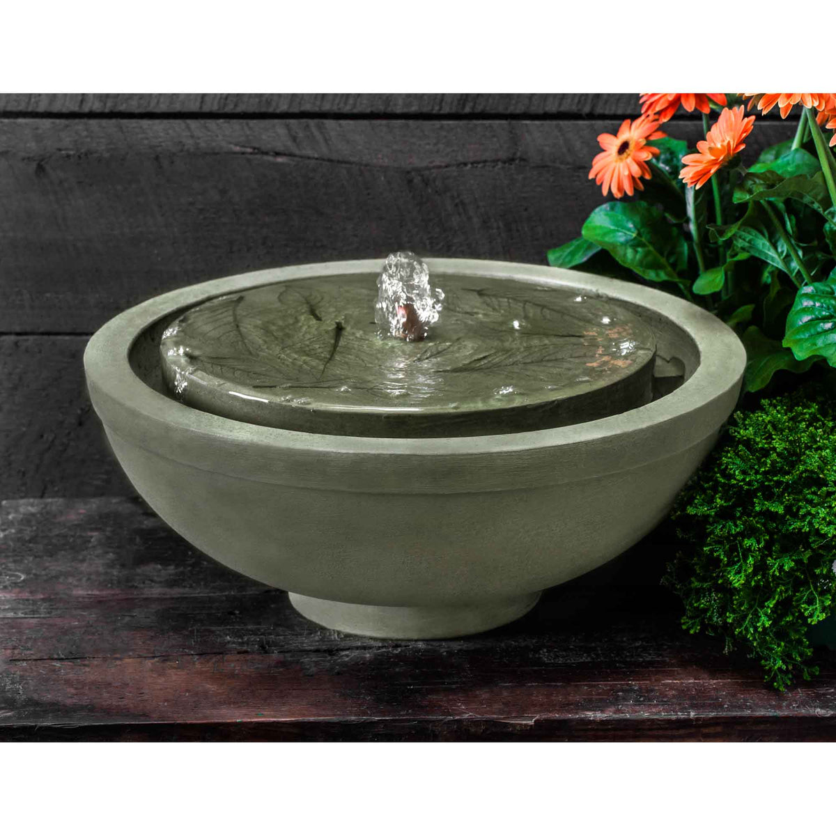 Hydrangea Leaves Garden Terrace Fountain