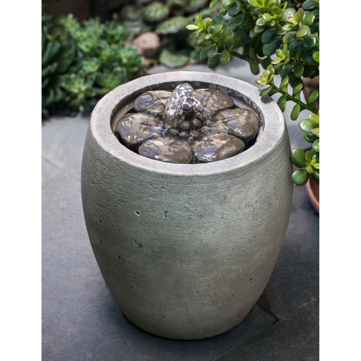 M-Series Camellia Ftn