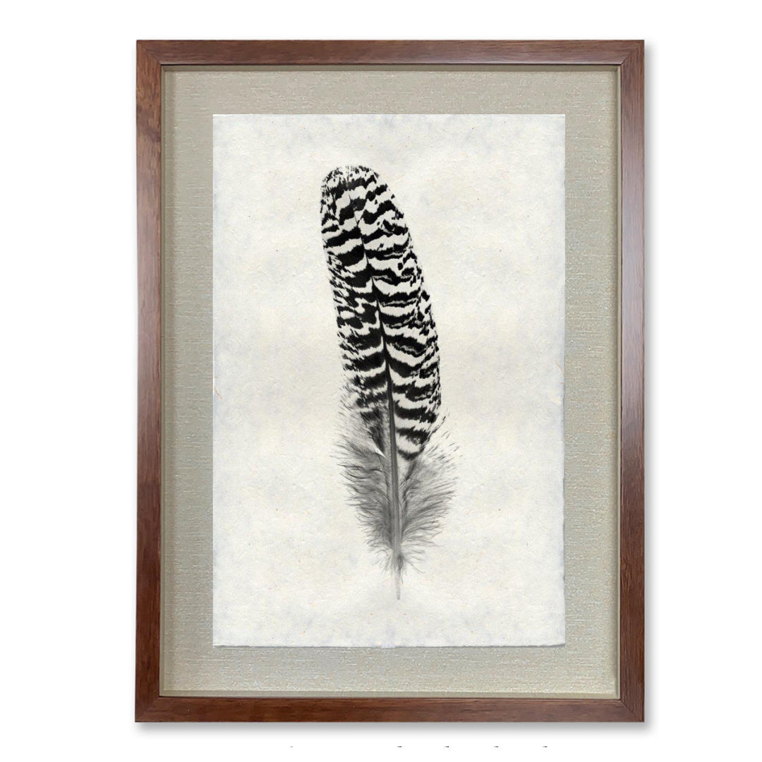 Feather #13 - Shadowbox
