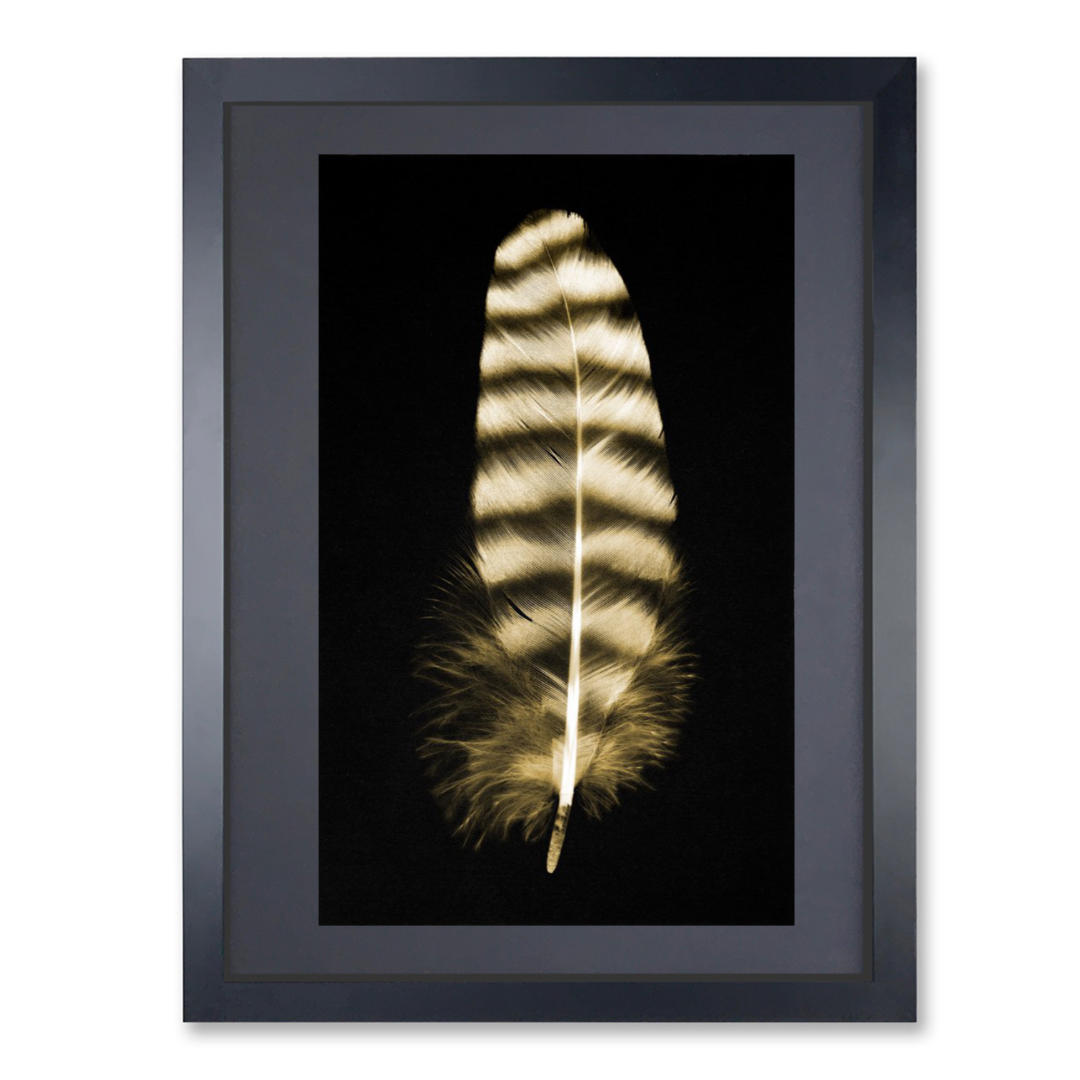 Feather #17 - Shadowbox
