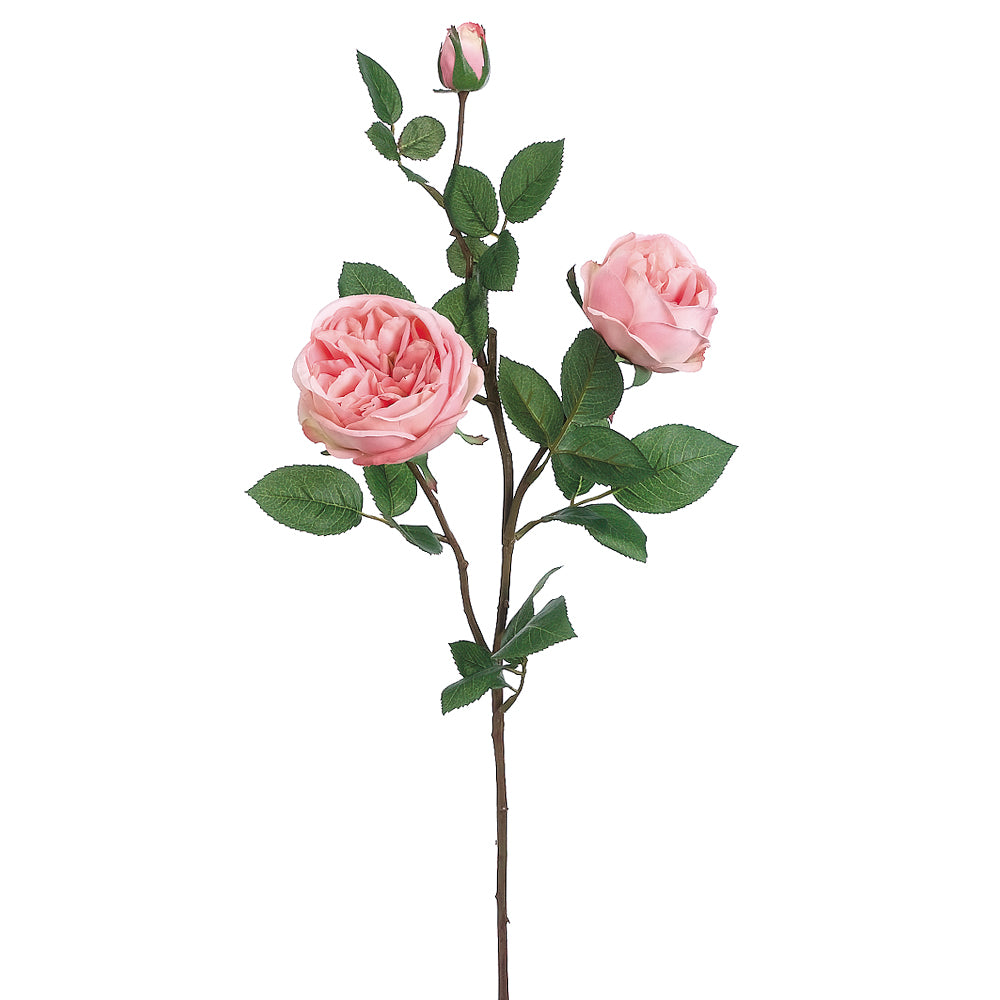 29" Cabbage Rose - Pink
