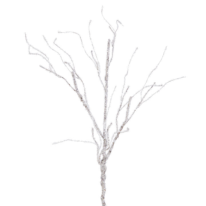 Iced Branch