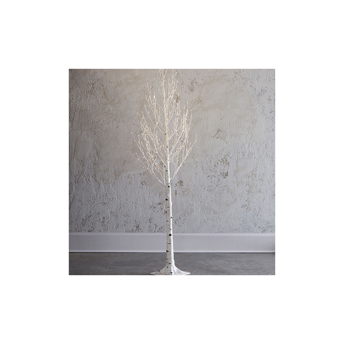 Lighted Birch Tree