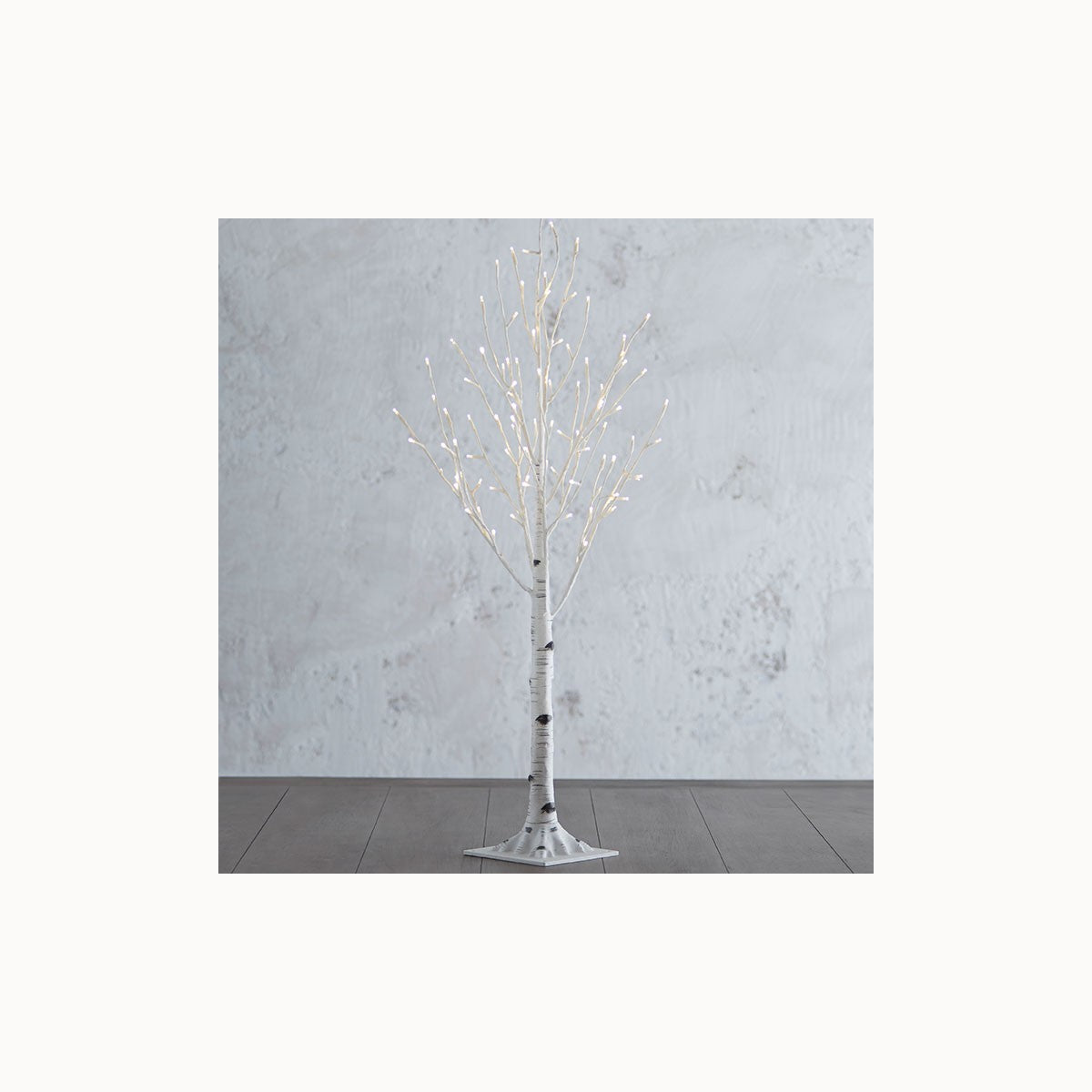 Lighted Birch Tree