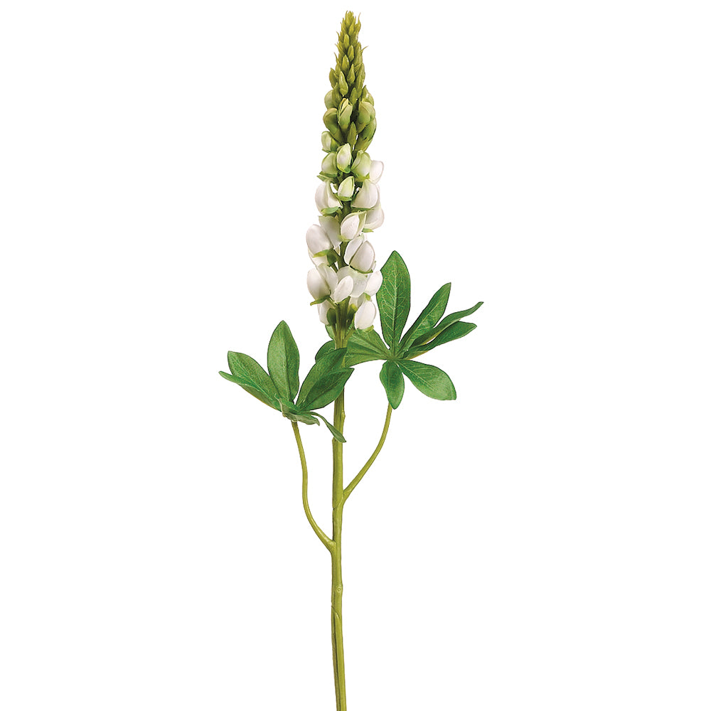 Lupins Stem - White