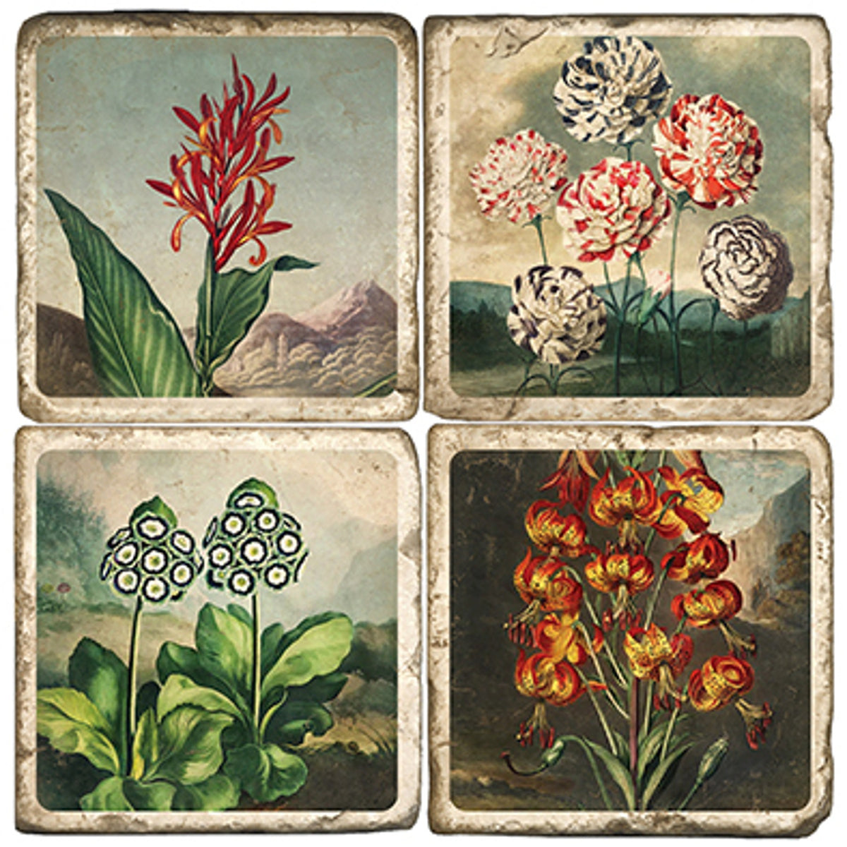 Temple of Flora Coasters- Set of 4