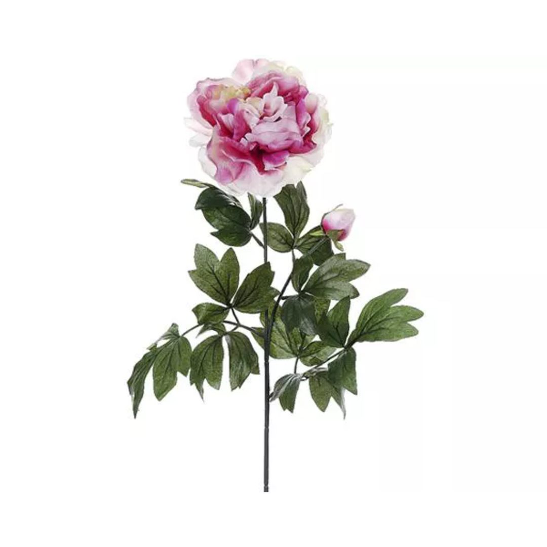 Peony Stem Pink