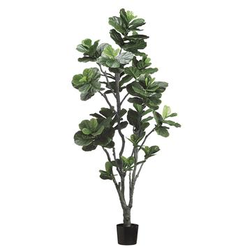 7' Fiddle Leaf Tree