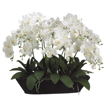 White Phalaenopsis Artificial