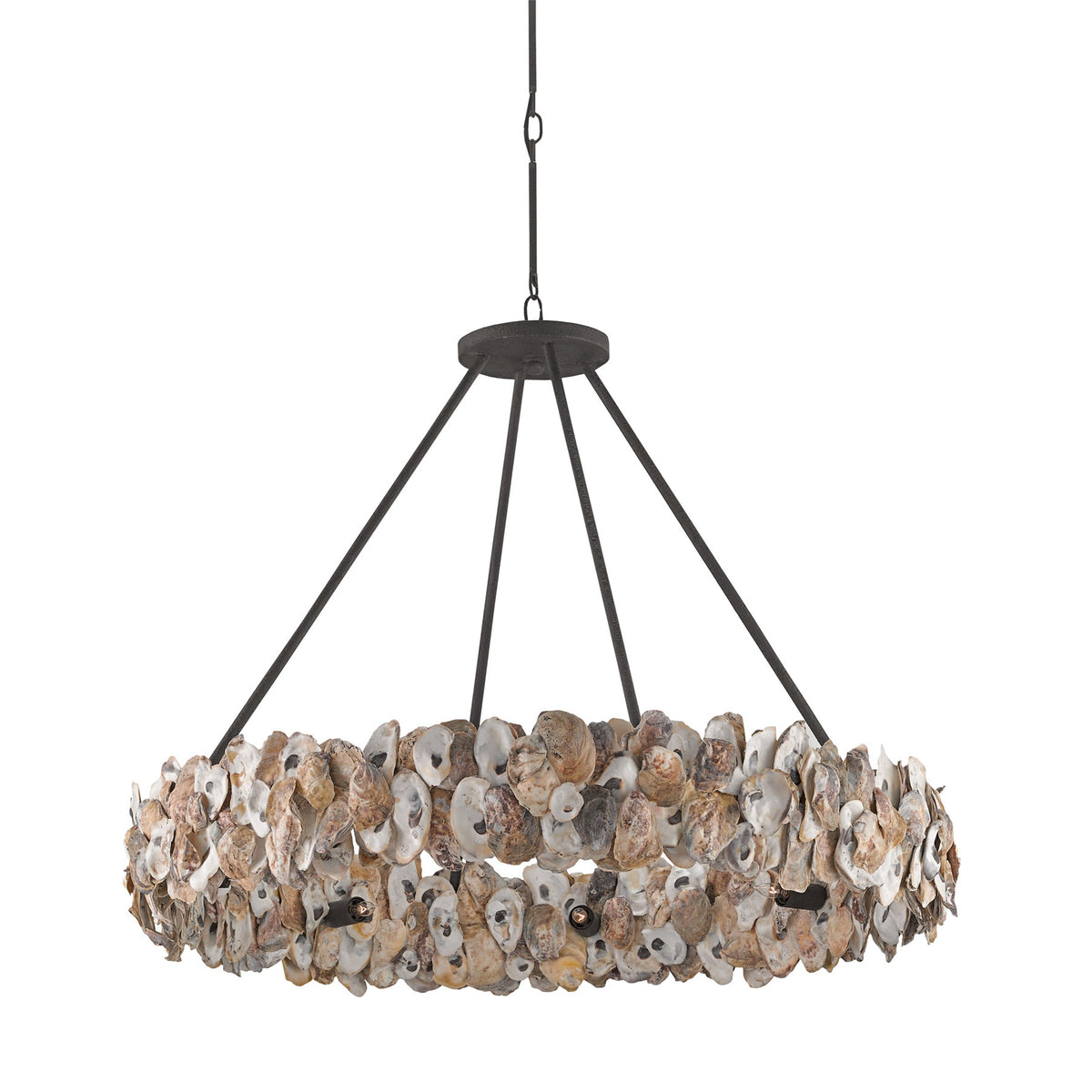 Oyster Chandelier