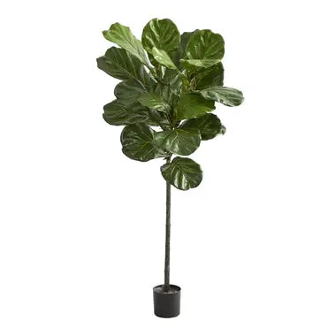 7' Fiddle Leaf Tree