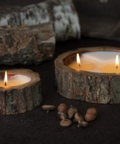 Irregular Tree Bark Medium