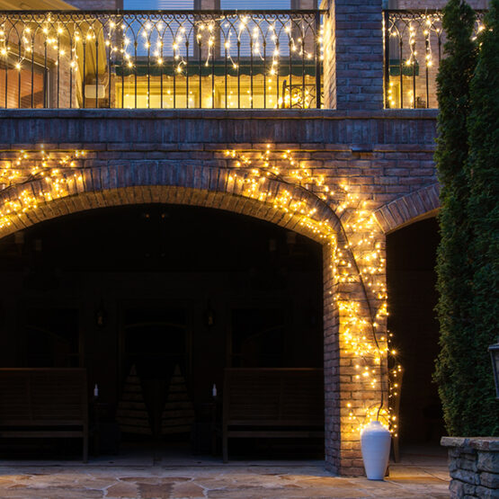 Lighted Climbing Vine - Brown