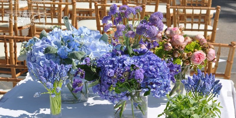 Jill & Brian - Late July