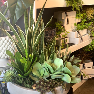 Green arrangement with different succulents and tong's mother plant