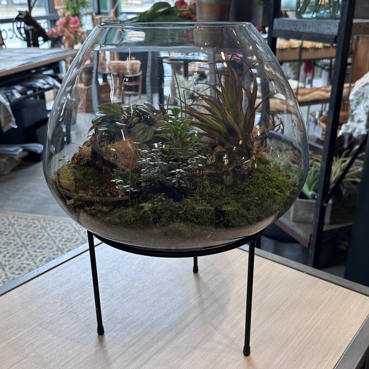 Open Glass Terrarium