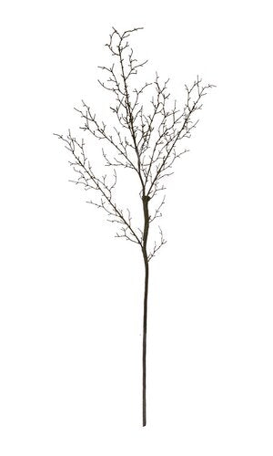 51&quot; Twig Branch