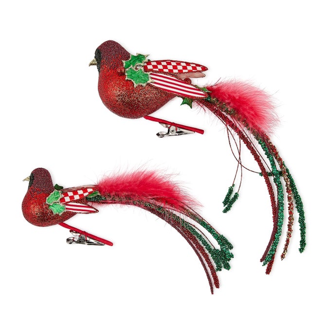 Check It Out Bird Clips