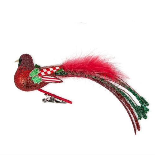 Check It Out Bird Clips