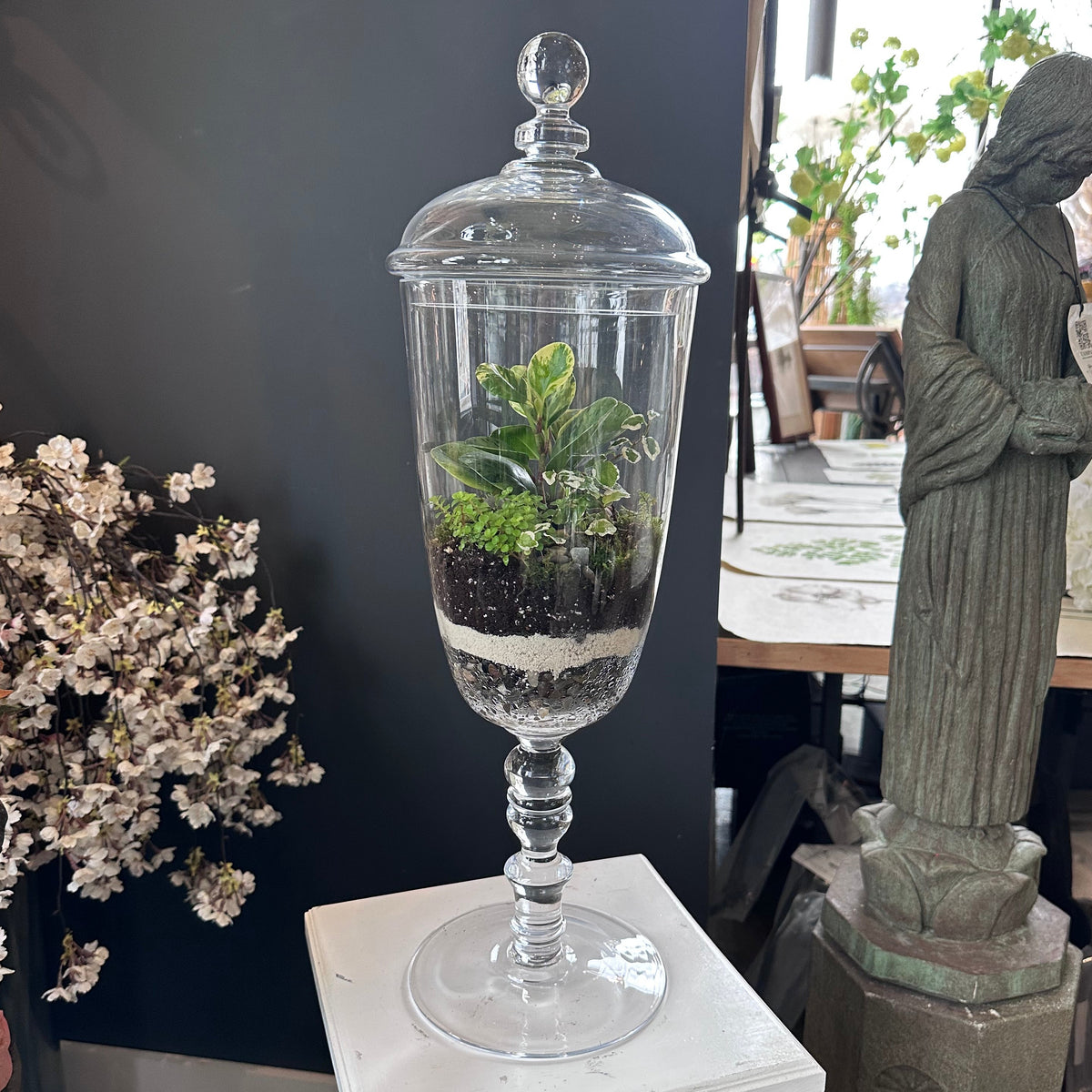 Terrarium