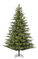 7.5&#39; Austin Fir Tree - Slim