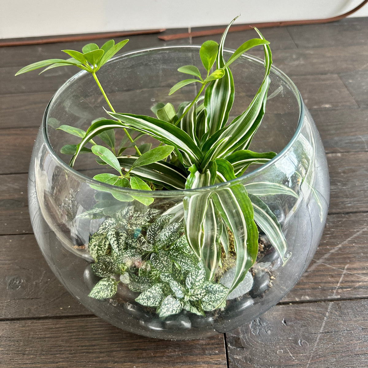 Sphere Garden