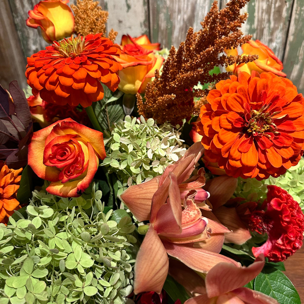Fall into Fall