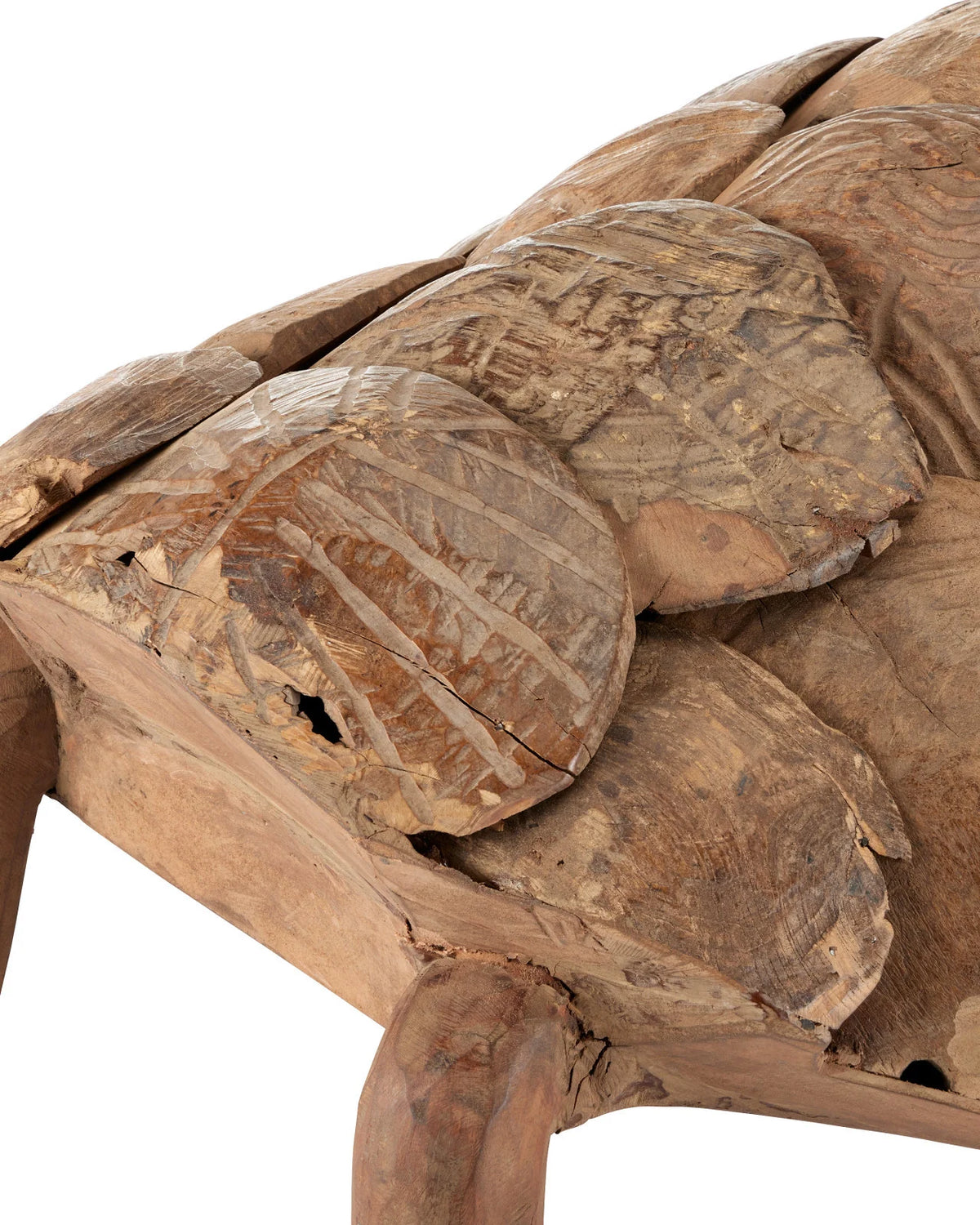 Wood Turtle Set