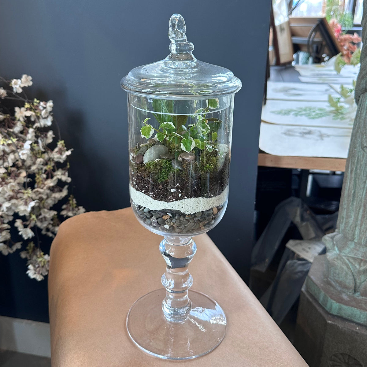 Terrarium