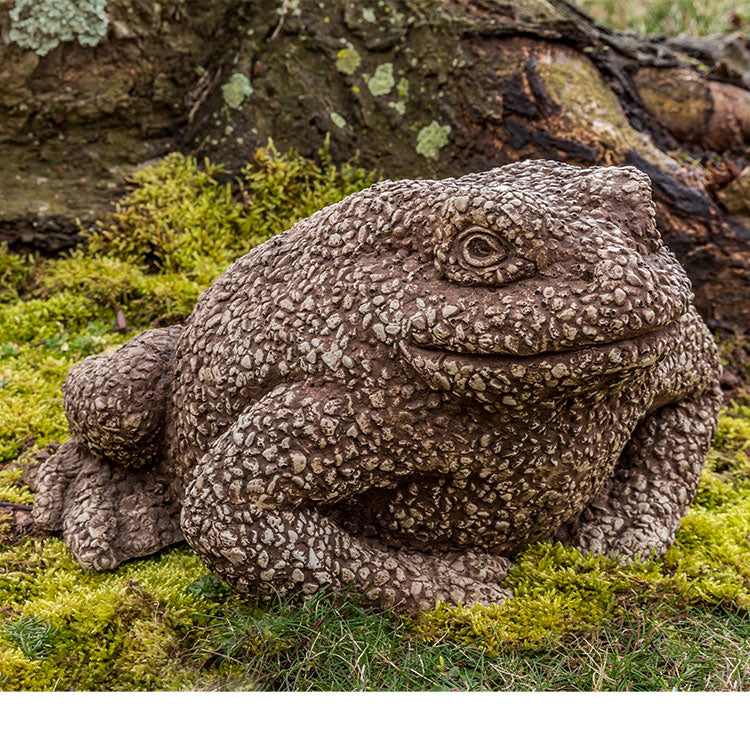 Forest Toad