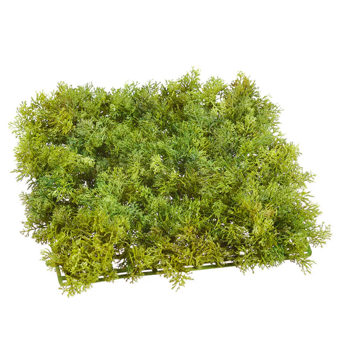 10" Moss Sheet