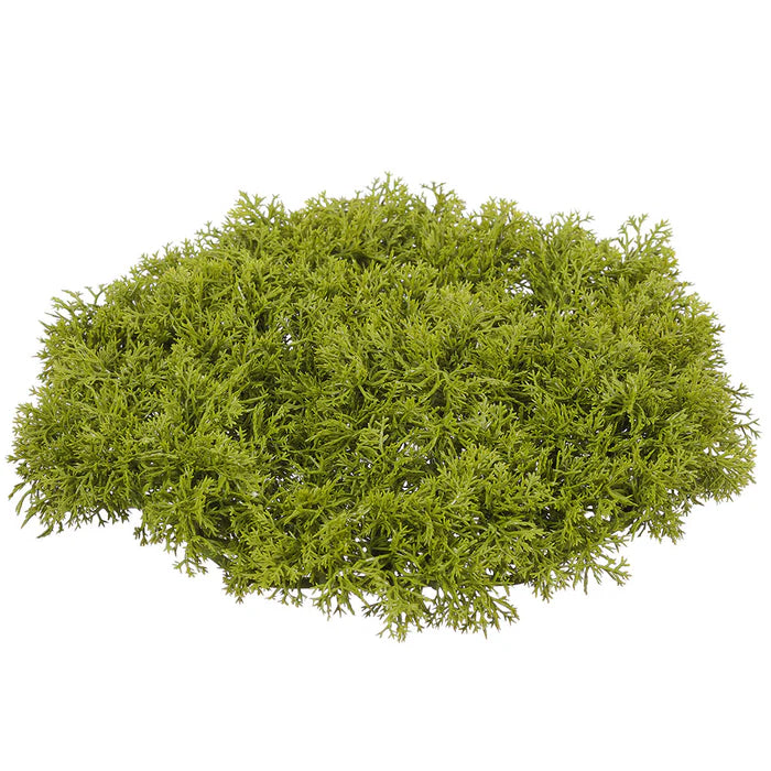 9" Moss Sheet