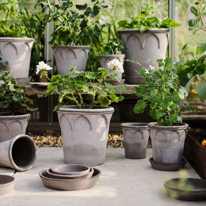 The Elizabeth Pot Collection