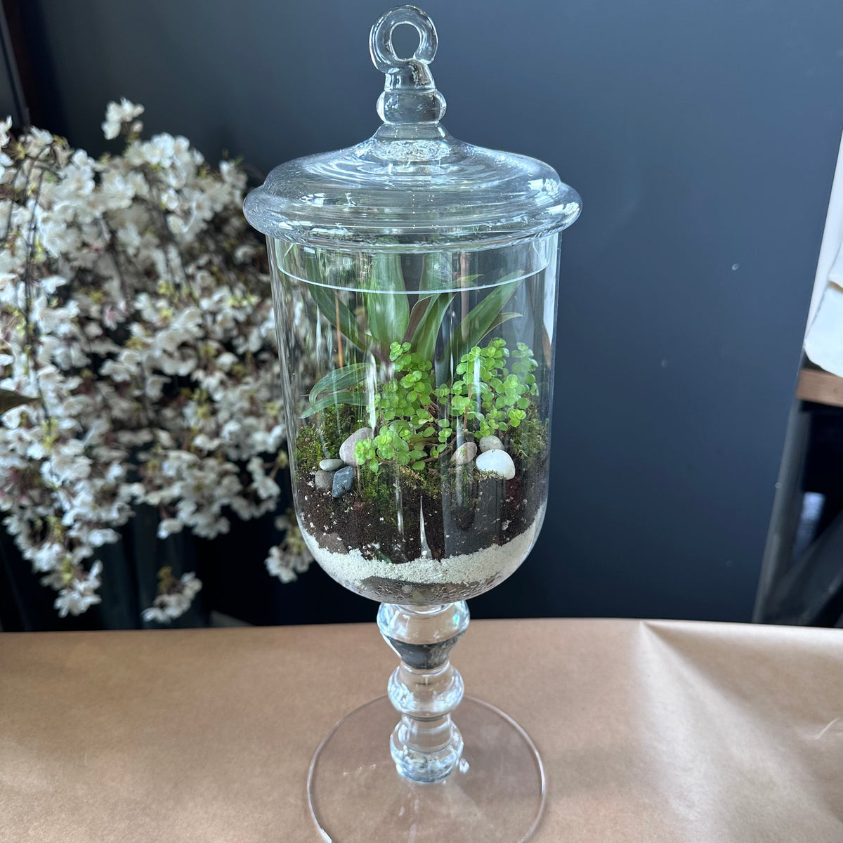 Terrarium
