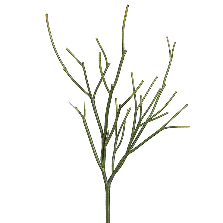 23&quot; Pencil Cactus Plant  Green