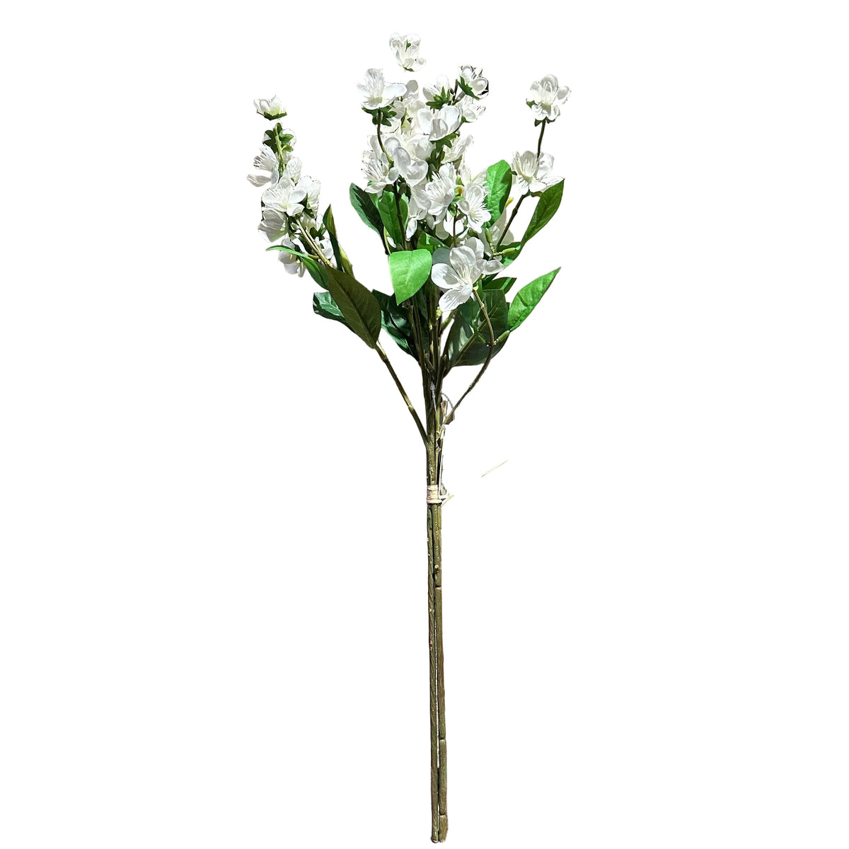 24" Rose Myrtle Bundle