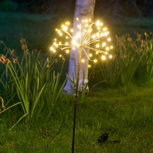 Dandelion