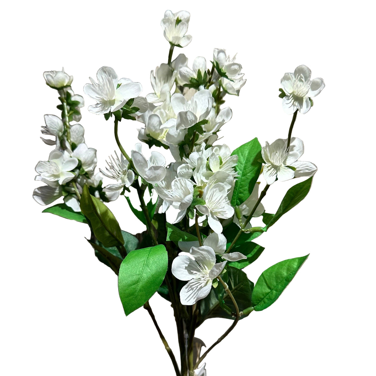24" Rose Myrtle Bundle